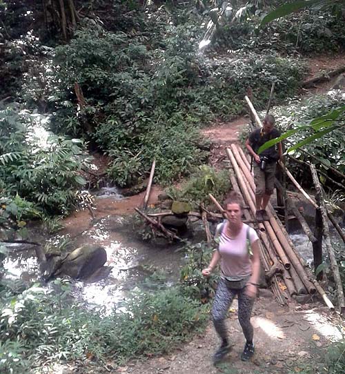 Doi Inthanon trail hike