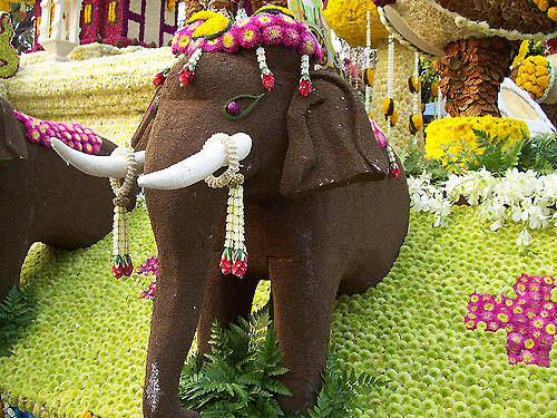 Elephant made of flowers
