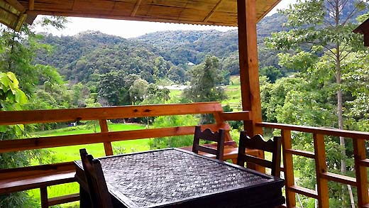 Rice field view bungalow at Doi Inthanon National Park Thailand