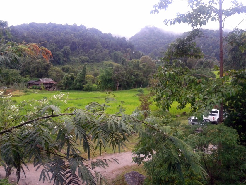 Rice field view bungalow at Doi Inthanon National Park Thailand