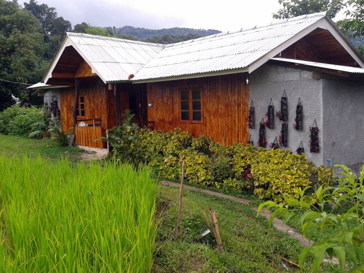 Rice field view bungalow at Doi Inthanon National Park Thailand
