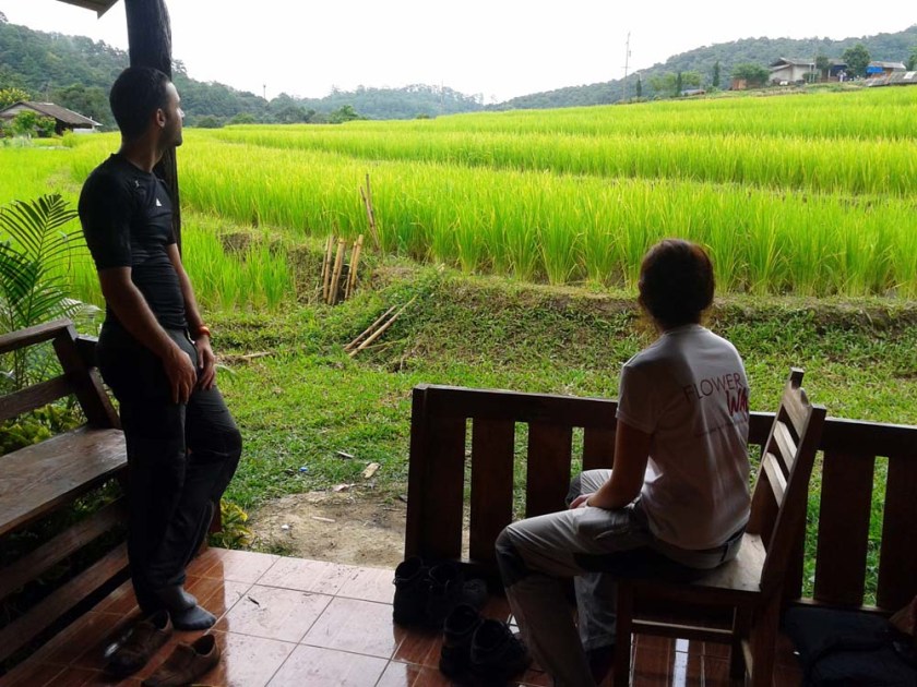 Rice field view bungalow at Doi Inthanon National Park Thailand