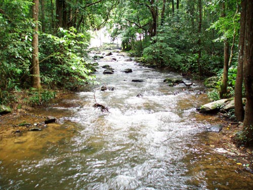 Stream at bungalow at Doi Inthanon National Park Thailand