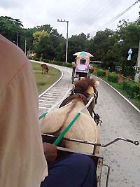 Riding Horse Buggy at Wiang Kum Kam Chiang Mai Thailand