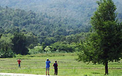 Birding Chiang Mai Thailand